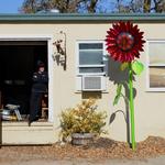 Sunflower 14 feet tall 
Steel and Iridized Glass Mosaic . 