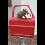 "Eaman" Americana Art, Bronze Dog in old Ford Car door. Limited Edition 12.